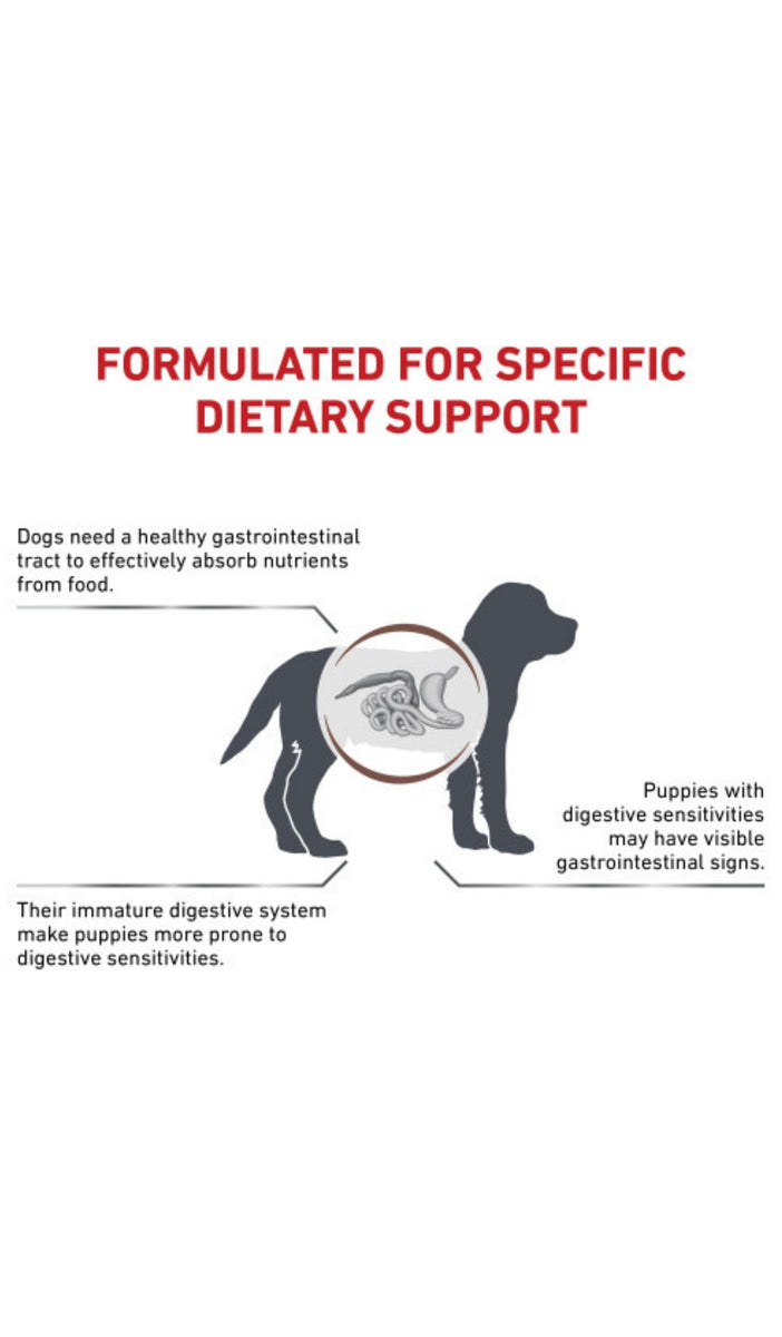 Royal Canin Gastrointestinal Puppy 1kg