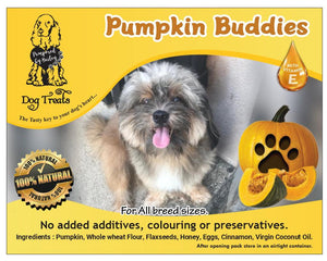 Pumpkin Buddies Dog Treats with Vitamin-E 150g