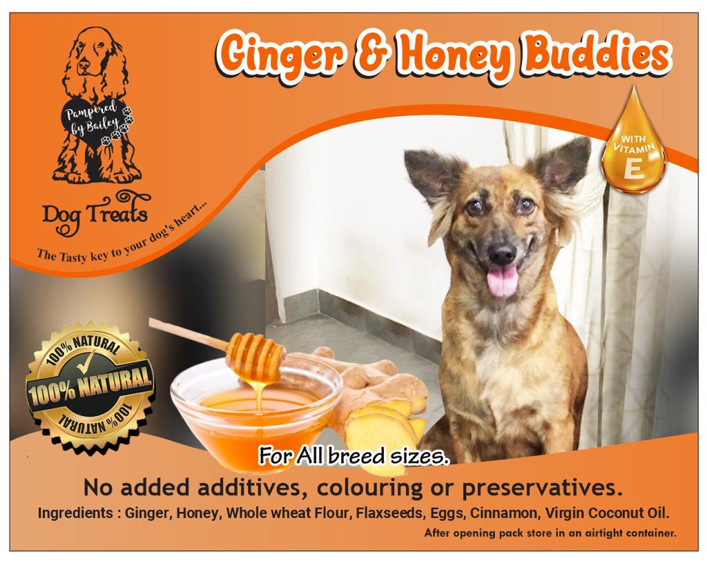 Ginger & Honey Buddies Dog Treats with Vitamin-E 150g