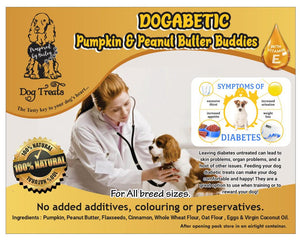 Dogabetic Pumpkin & Peanut Butter Buddies Dog Treats with Vitamin-E 150g