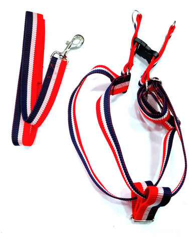 Striped Harness with Leash for Large Breed