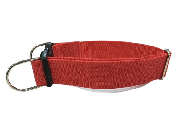 Simple Dog Collar for Large Breeds