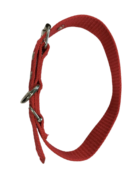 Vibrant Red Dog Collar for Medium Breeds