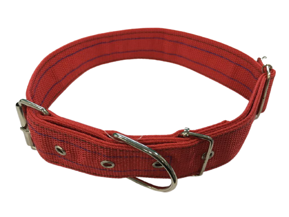 Threaded Dog Collar for Large Breeds with Buckle
