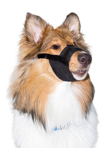 Padded Strap Dog Muzzle