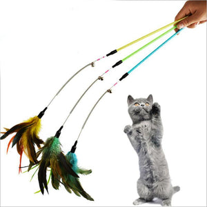 Feather Cat Wand Toy