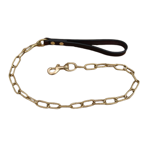 Gold Chain Lead with Red Nylon Handle
