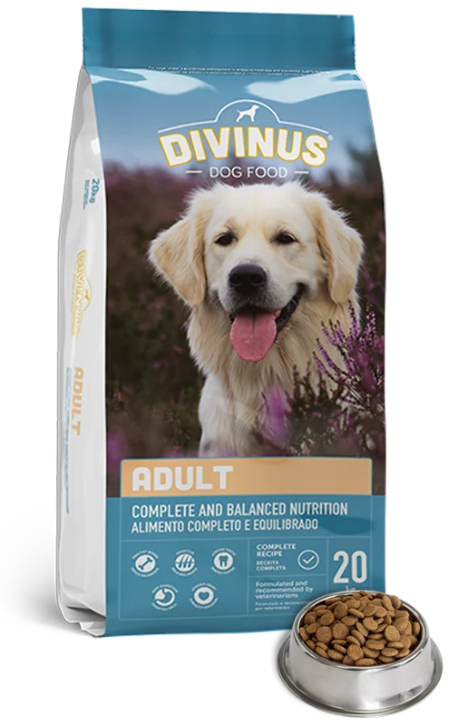 Dog food shop 20kg price