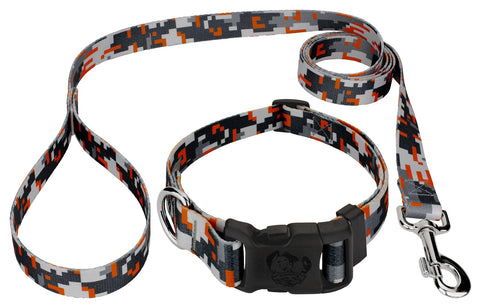 Dog Collar with Lead