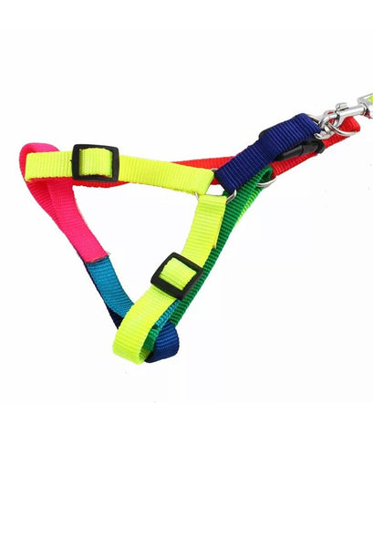 Rainbow Dog Harness with Leash