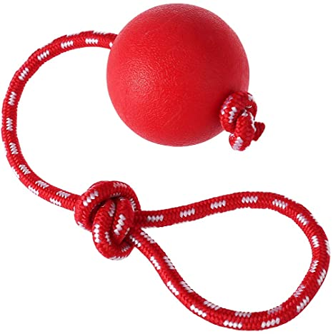 Solid Rubber Training Ball with Rope