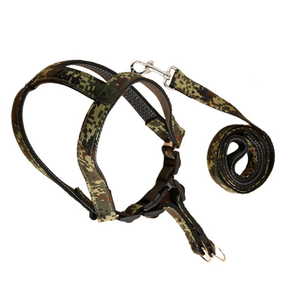 Printed Harness With Leash for Medium Breed