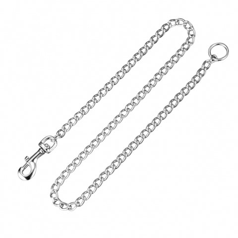 Ring Steel Chain Lead
