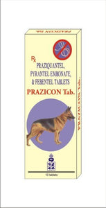 Prazicon Worm Tablet (One Tablet)