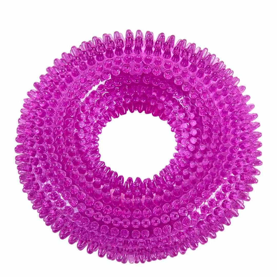 Squeaky Teether Ring Chew Toy